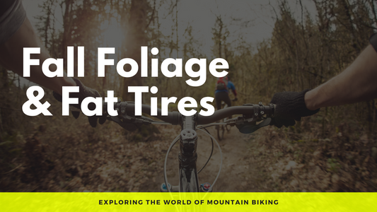 Fall Foliage and Fat Tires: Exploring Mountain Biking in Autumn